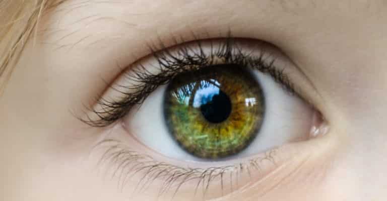 Menschliches Auge - Thema Personalarbeit
